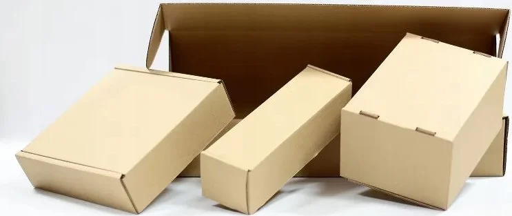 2026_05_27_1510139