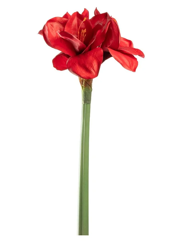 2026_05_28_239406